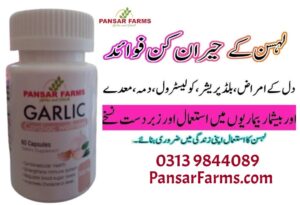 Garlic for High Blood Pressure and Cholesterol