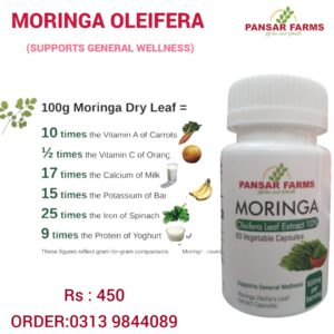 Moringa oleifera Pansar Farms