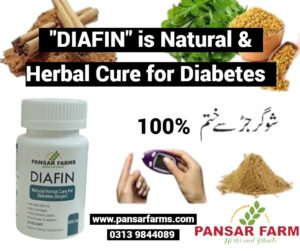 Can Diabetes Be Treated with Supplements and Herbs?