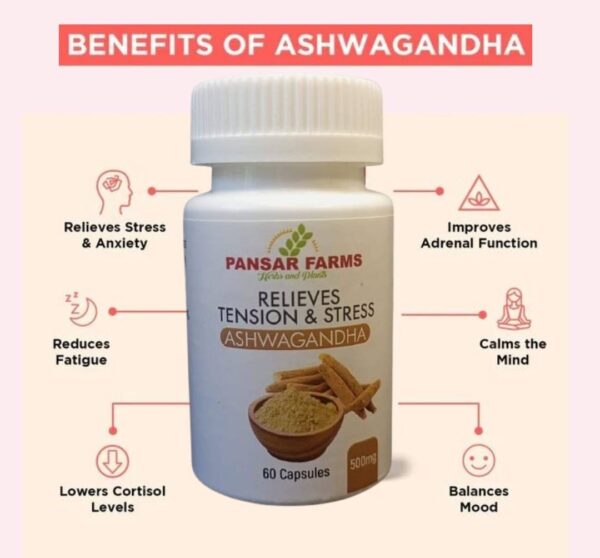 WhatsApp Image 2024-05-25 at 4.36.22 PM